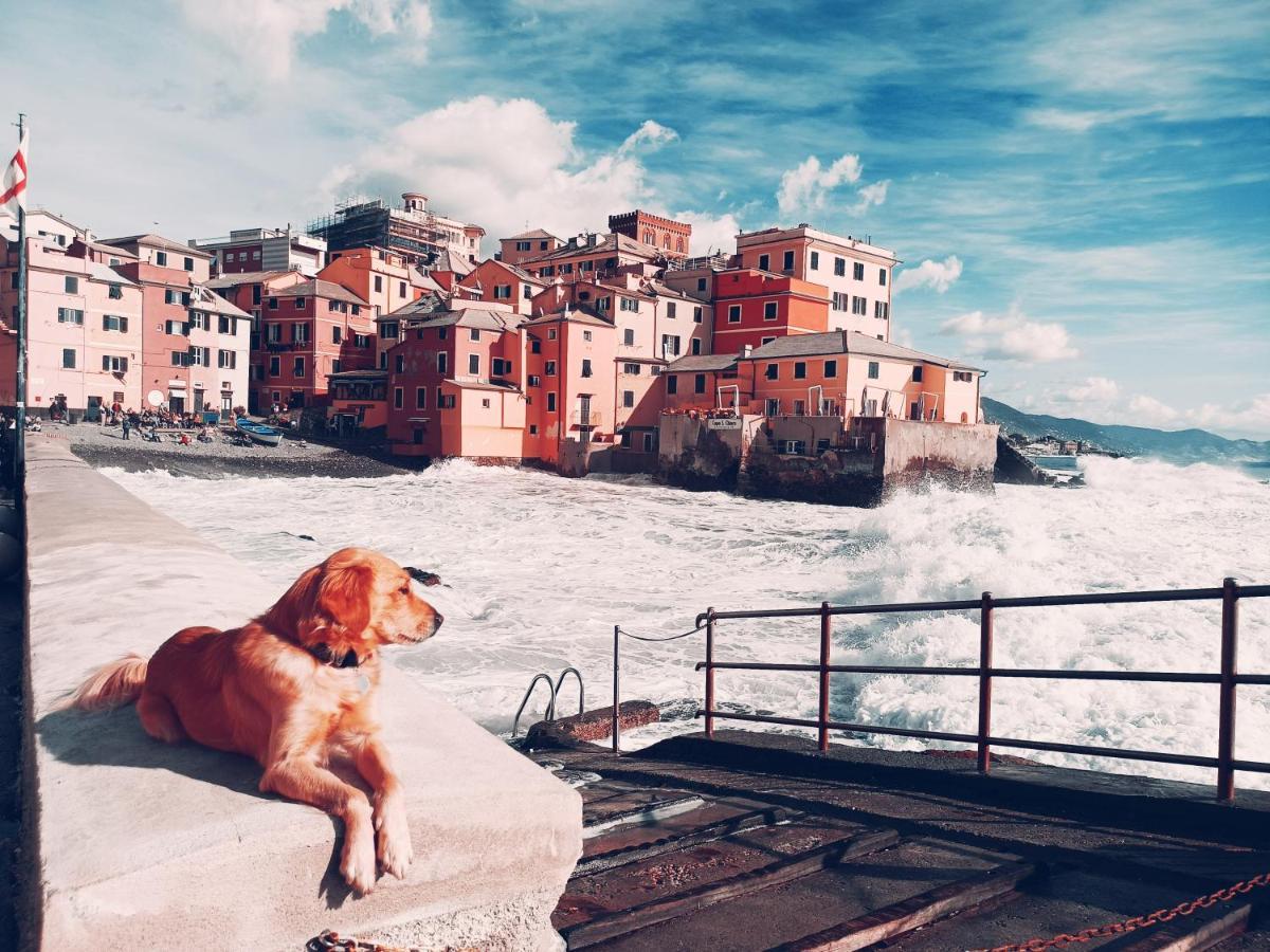 Il Giardino A Boccadasse جنوة المظهر الخارجي الصورة